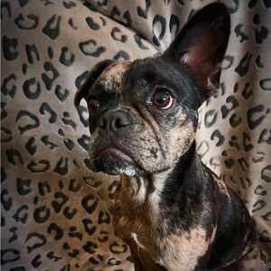 Meet your Posher, Rana